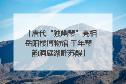 唐代“独幽琴”亮相岳阳楼博物馆 千年琴韵洞庭湖畔苏醒