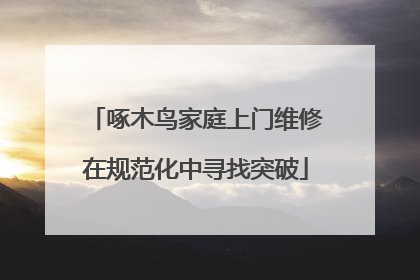 啄木鸟家庭上门维修在规范化中寻找突破