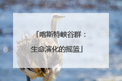 喀斯特峡谷群：生命演化的摇篮