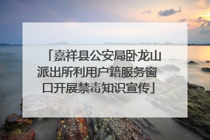 嘉祥县公安局卧龙山派出所利用户籍服务窗口开展禁毒知识宣传