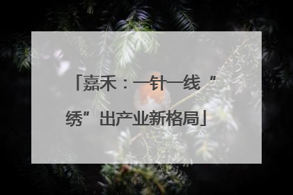 嘉禾：一针一线“绣”出产业新格局