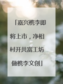 嘉兴槜李即将上市，净相村开共富工坊做槜李文创