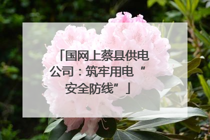 国网上蔡县供电公司：筑牢用电“安全防线”