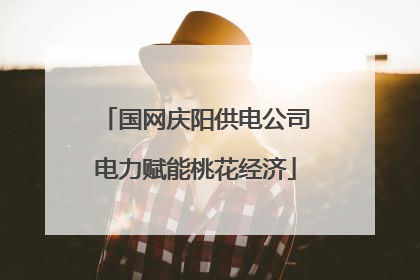 国网庆阳供电公司电力赋能桃花经济