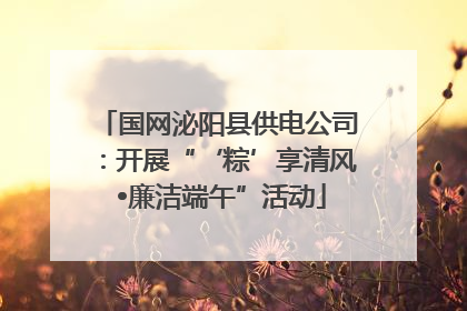国网泌阳县供电公司：开展“‘粽’享清风 •廉洁端午”活动