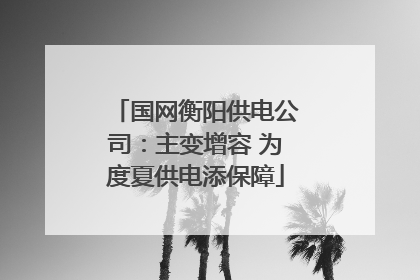 国网衡阳供电公司：主变增容 为度夏供电添保障