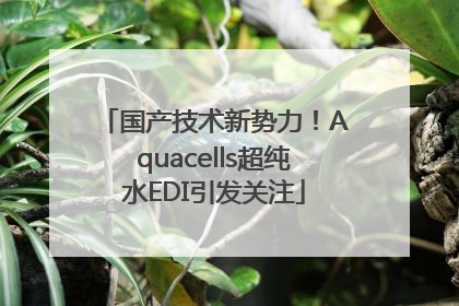 国产技术新势力！Aquacells超纯水EDI引发关注