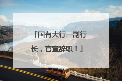 国有大行一副行长，官宣辞职！