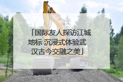 国际友人探访江城地标 沉浸式体验武汉古今交融之美