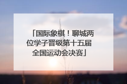 国际象棋！聊城两位学子晋级第十五届全国运动会决赛