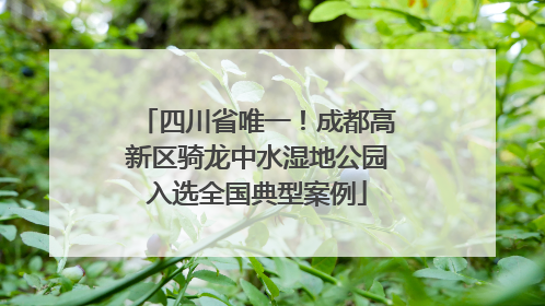 四川省唯一！成都高新区骑龙中水湿地公园入选全国典型案例