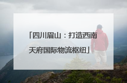 四川眉山：打造西南天府国际物流枢纽