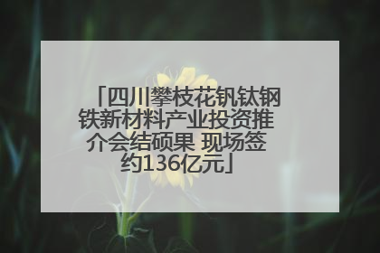 四川攀枝花钒钛钢铁新材料产业投资推介会结硕果 现场签约136亿元