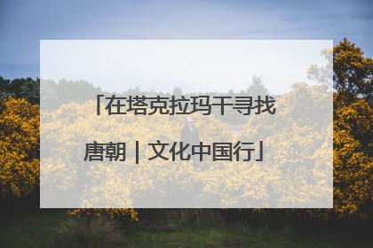 在塔克拉玛干寻找唐朝｜文化中国行