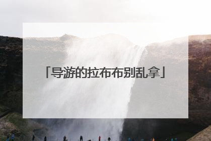 导游的拉布布别乱拿
