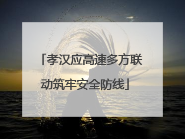 孝汉应高速多方联动筑牢安全防线
