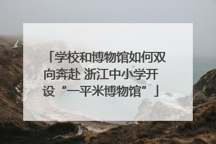 学校和博物馆如何双向奔赴 浙江中小学开设“一平米博物馆”