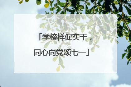 学榜样促实干，同心向党颂七一
