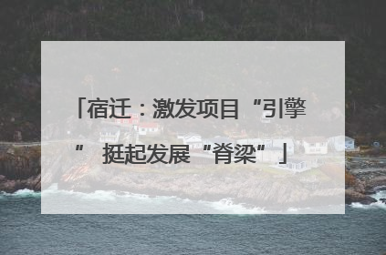 宿迁：激发项目“引擎” 挺起发展“脊梁”