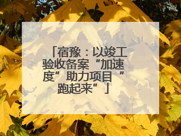 宿豫：以竣工验收备案“加速度”助力项目“跑起来”