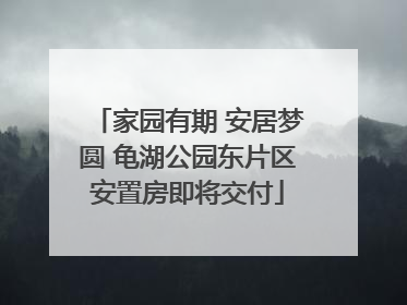 家园有期 安居梦圆 龟湖公园东片区安置房即将交付