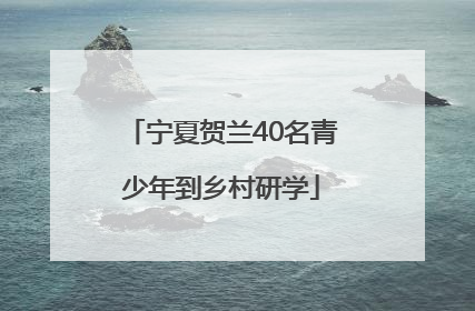 宁夏贺兰40名青少年到乡村研学