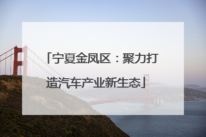 宁夏金凤区：聚力打造汽车产业新生态