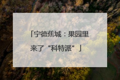 宁德蕉城：果园里来了“科特派”