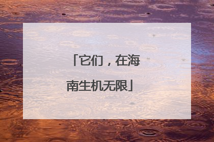 它们，在海南生机无限