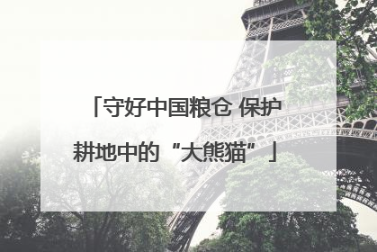 守好中国粮仓 保护耕地中的“大熊猫”