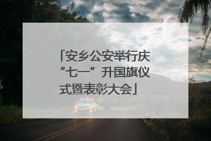 安乡公安举行庆“七一”升国旗仪式暨表彰大会
