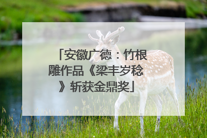 安徽广德：竹根雕作品《梁丰岁稔》斩获金鼎奖