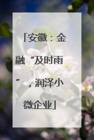 安徽：金融“及时雨”，润泽小微企业