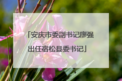 安庆市委副书记廖强出任宿松县委书记