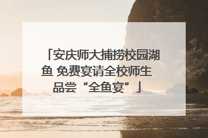 安庆师大捕捞校园湖鱼 免费宴请全校师生品尝“全鱼宴”