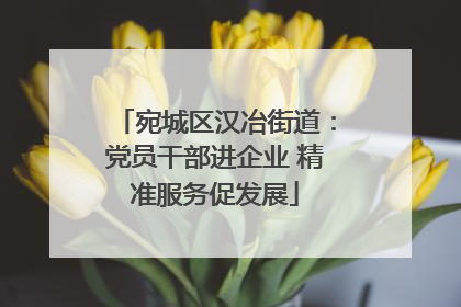 宛城区汉冶街道：党员干部进企业 精准服务促发展