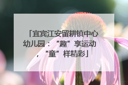 宜宾江安留耕镇中心幼儿园：“趣”享运动，“童”样精彩