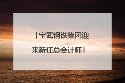 宝武钢铁集团迎来新任总会计师