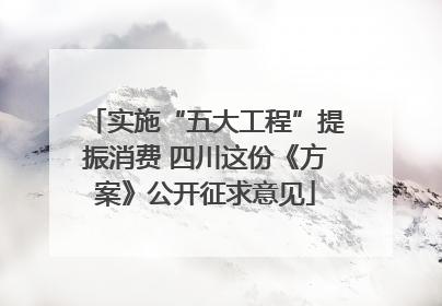 实施“五大工程”提振消费 四川这份《方案》公开征求意见