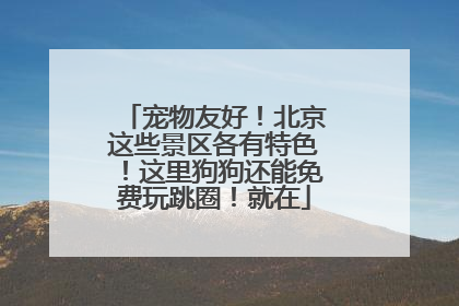 宠物友好！北京这些景区各有特色！这里狗狗还能免费玩跳圈！就在