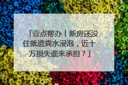 壹点帮办丨新房还没住就遭粪水浸泡，近十万损失谁来承担？