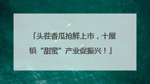 头茬香瓜抢鲜上市，十屋镇“甜蜜”产业促振兴！