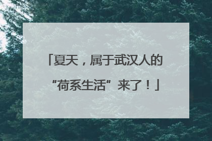 夏天，属于武汉人的“荷系生活”来了！
