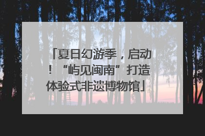 夏日幻游季，启动！“屿见闽南”打造体验式非遗博物馆