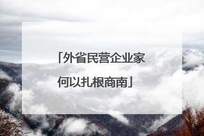 外省民营企业家何以扎根商南