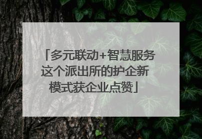 多元联动+智慧服务 这个派出所的护企新模式获企业点赞