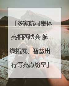 多家航司集体亮相西博会 航线拓展、智慧出行等亮点纷呈