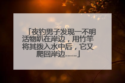 夜钓男子发现一不明活物趴在岸边，用竹竿将其拨入水中后，它又爬回岸边……
