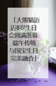 大熊猫迈迈8岁生日会圆满落幕 端午传统与国宝生日完美融合