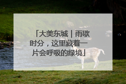 大美东城｜雨歇时分，这里藏着一片会呼吸的绿境